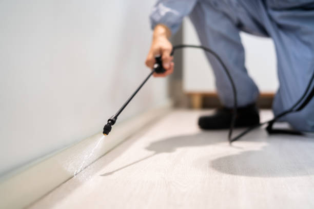 Licensed Termite Control service in Cooper, TX - Nex Pest Control