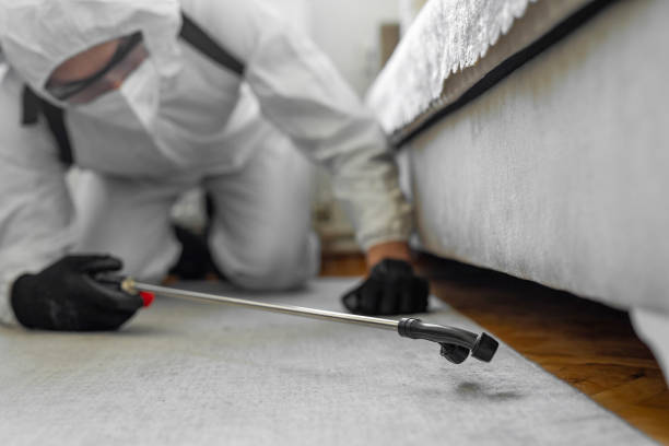 Professional Termite Control technician working in Cooper, TX