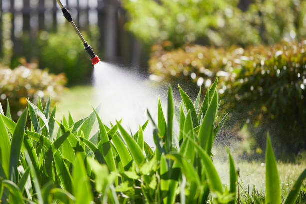 24/7 Emergency Termite Control experts in Cooper, TX