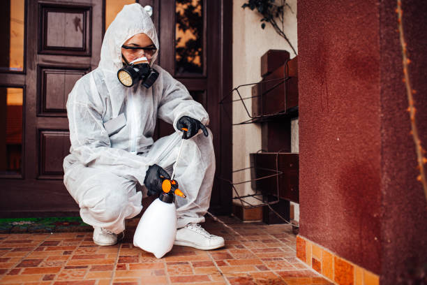Reliable Termite Control contractor in Cooper, TX by Nex Pest Control